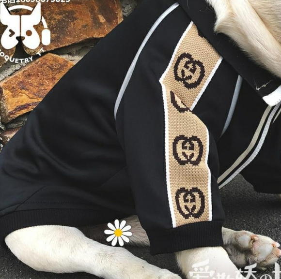 🎊HOST PICK🎊 GiGi Double G Doggy track jacket - Picture 3 of 3